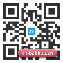 苹果版 iOS 二维码 | BOBPINGTAI